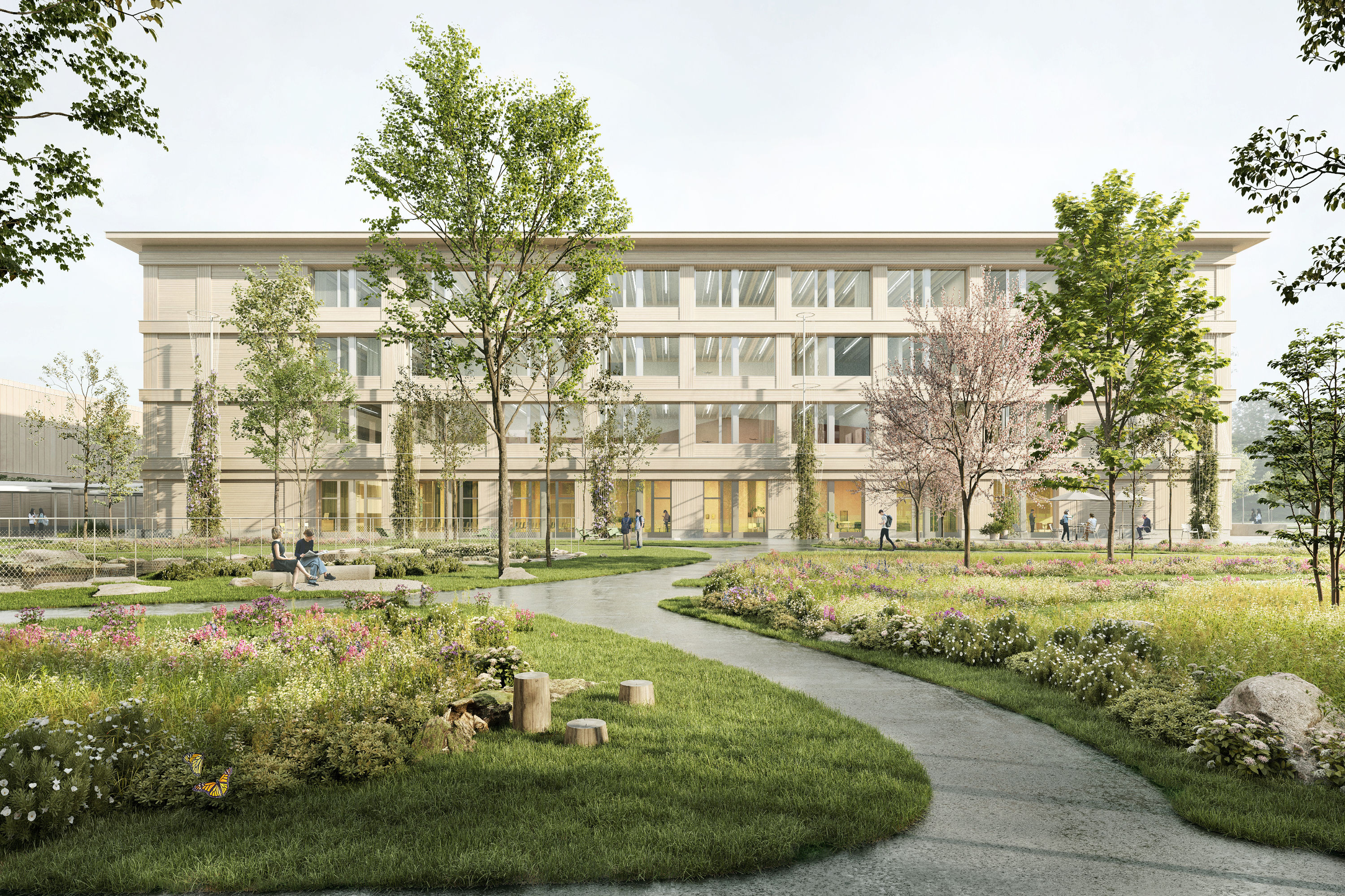 Visualisierung Schulanlage Sonnmatt, Uzwil  © Stücheli Architekten