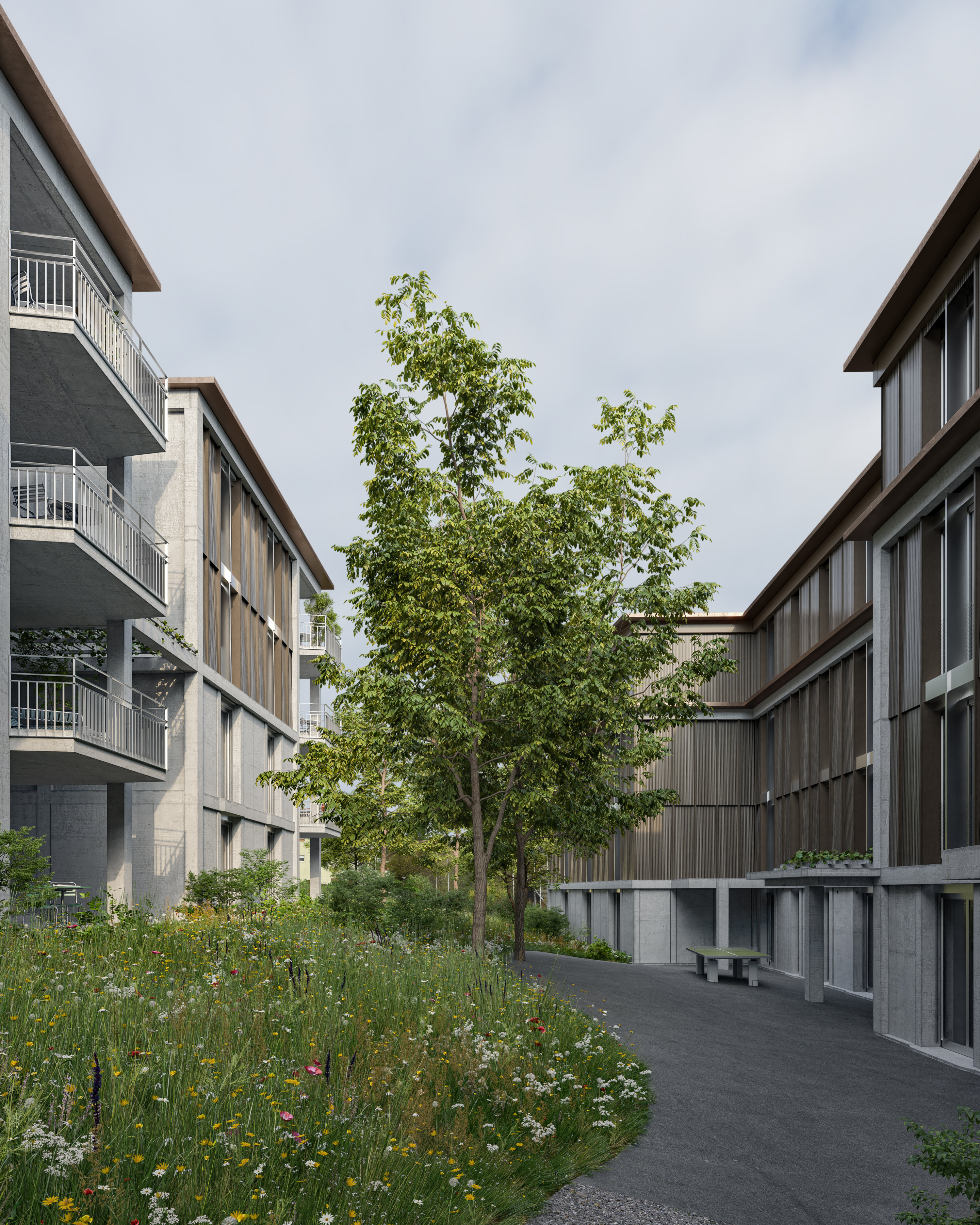 Visualisierung Wohnüberbauung Hurdäckerstrasse, Zürich Höngg © Indievisual.ch (1)