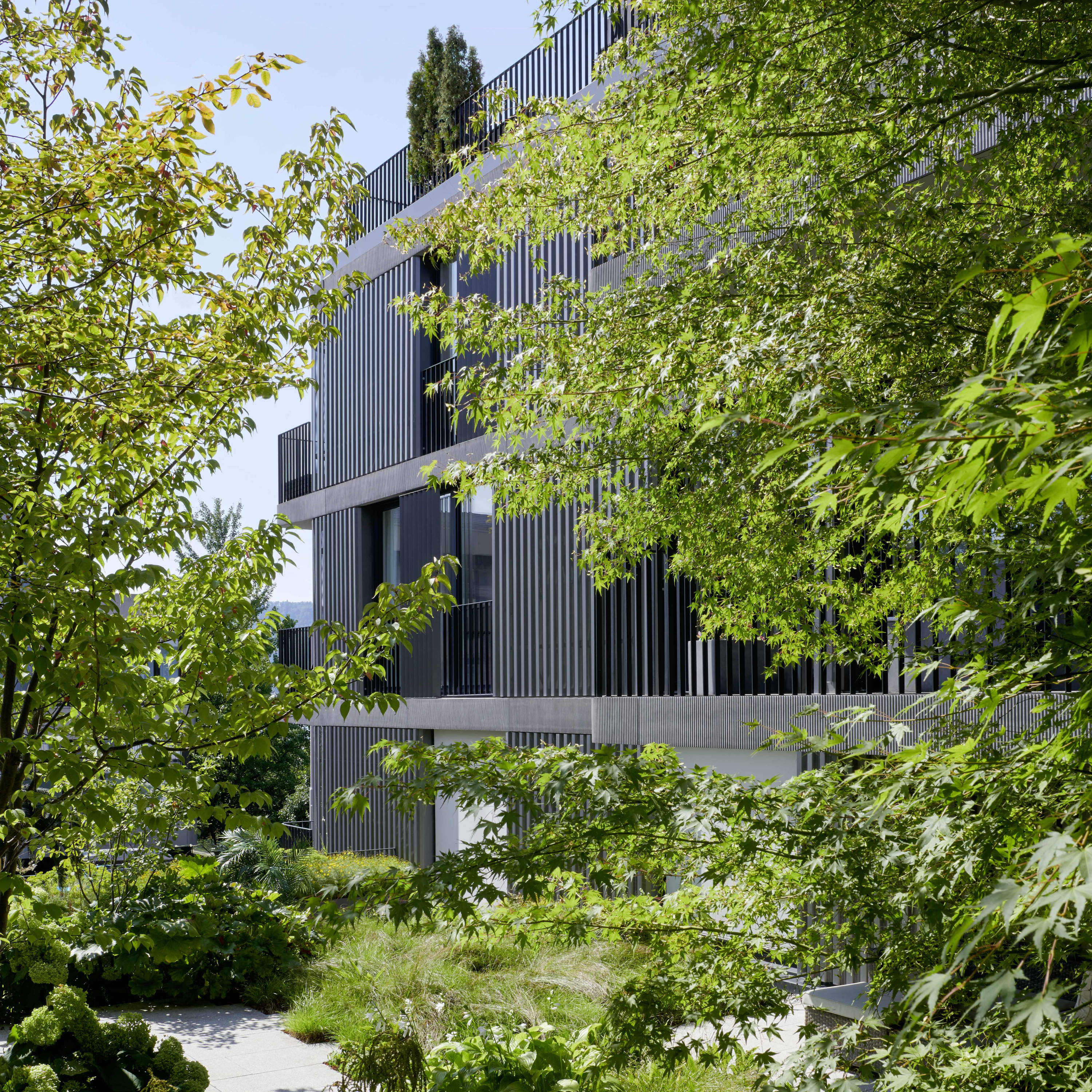 Residential building Zollikerstrasse, Zurich