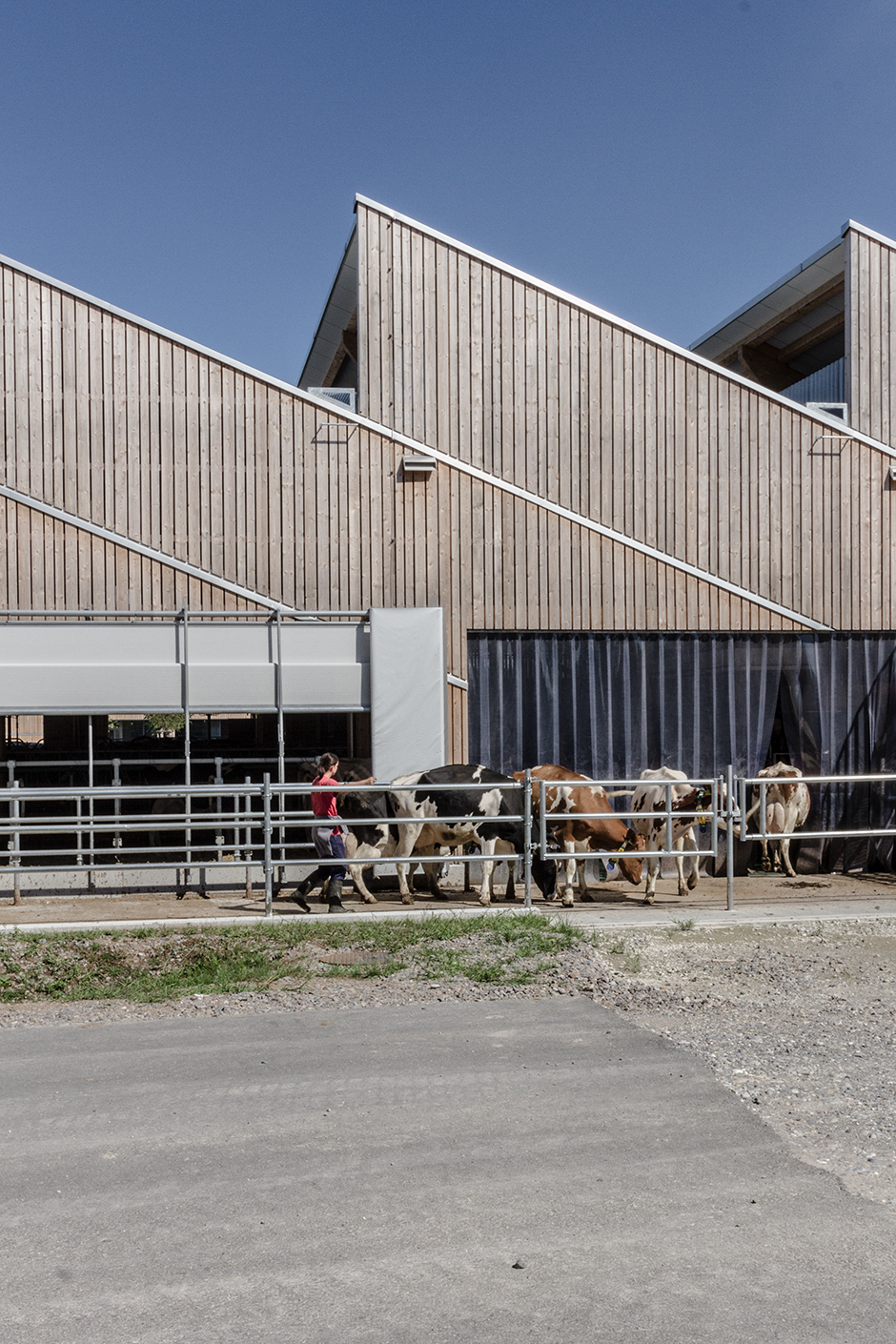 Sta 170825 Agrovet Strickhof Teaser