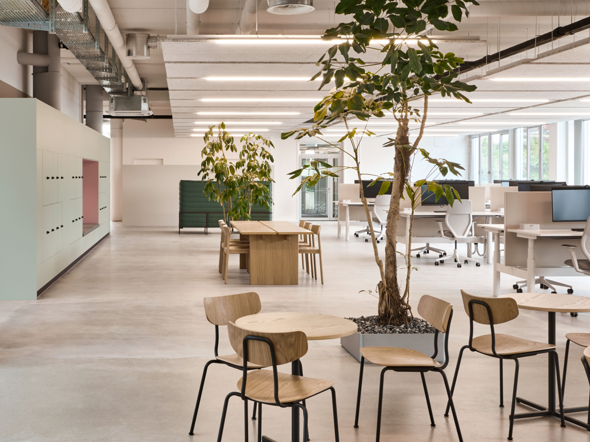 Innenausbau und Gesamtsanierung Novelis AG, Küsnacht Foto Studio Willen (2)