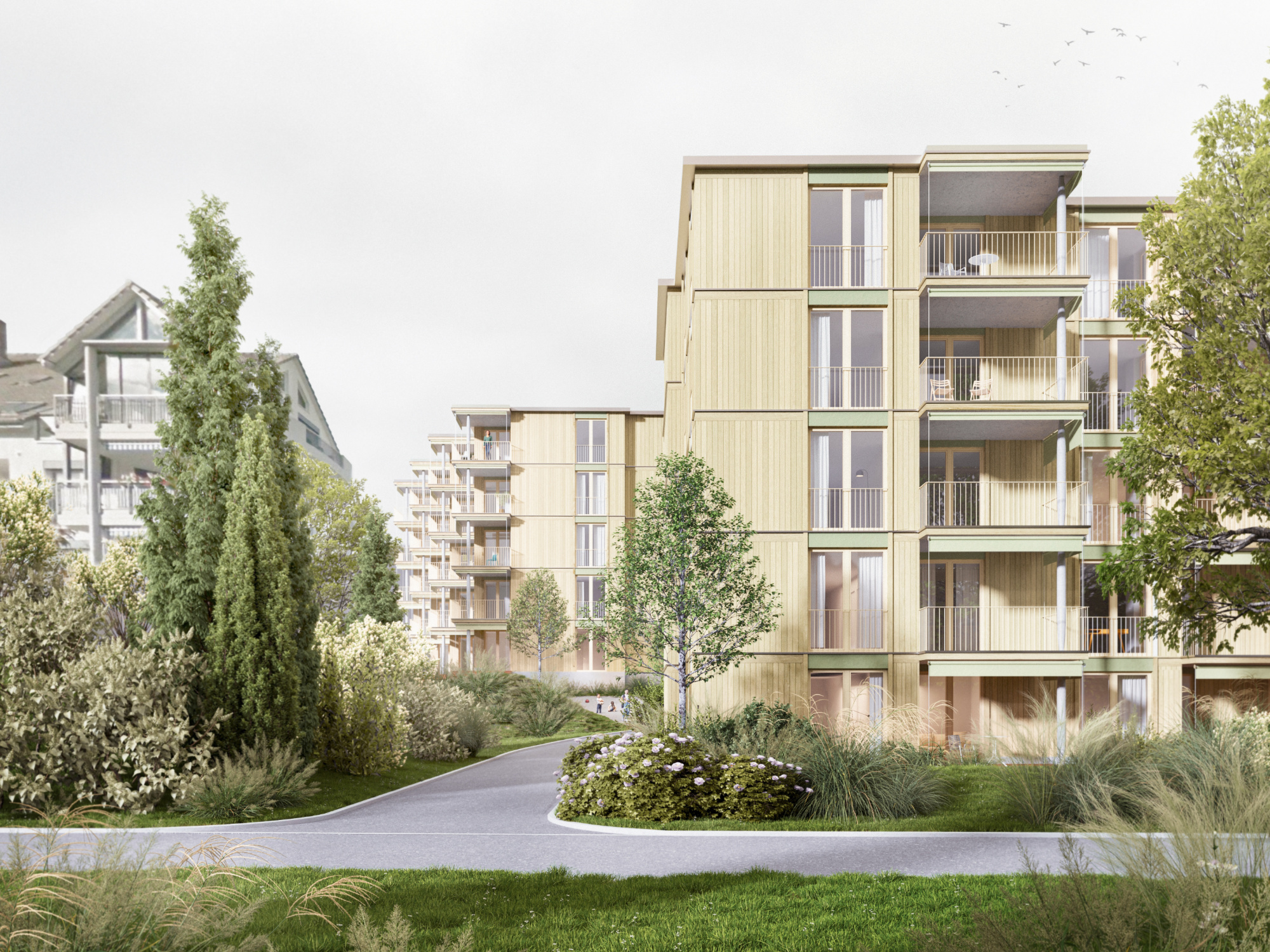 Study for Residential Development Krummibuckweg, Dielsdorf, Visualization by Michal Pietrusiewicz