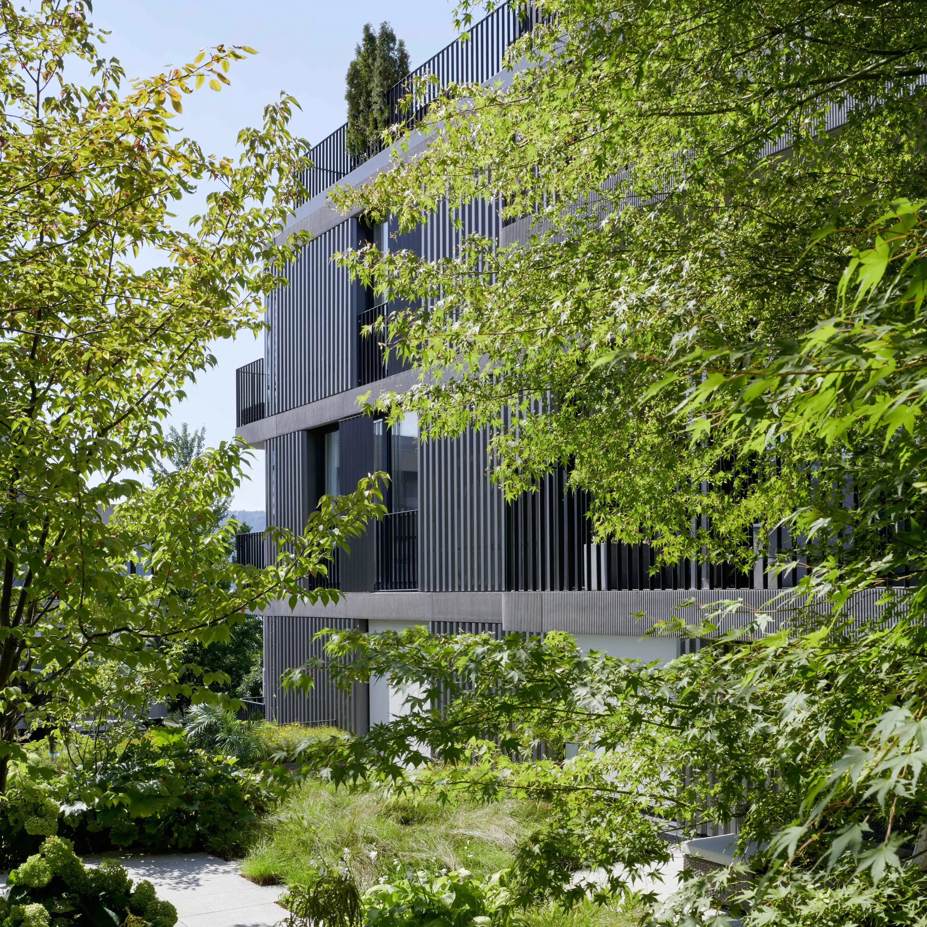 Mehrfamilienhaus Zollikerstrasse, Zürich