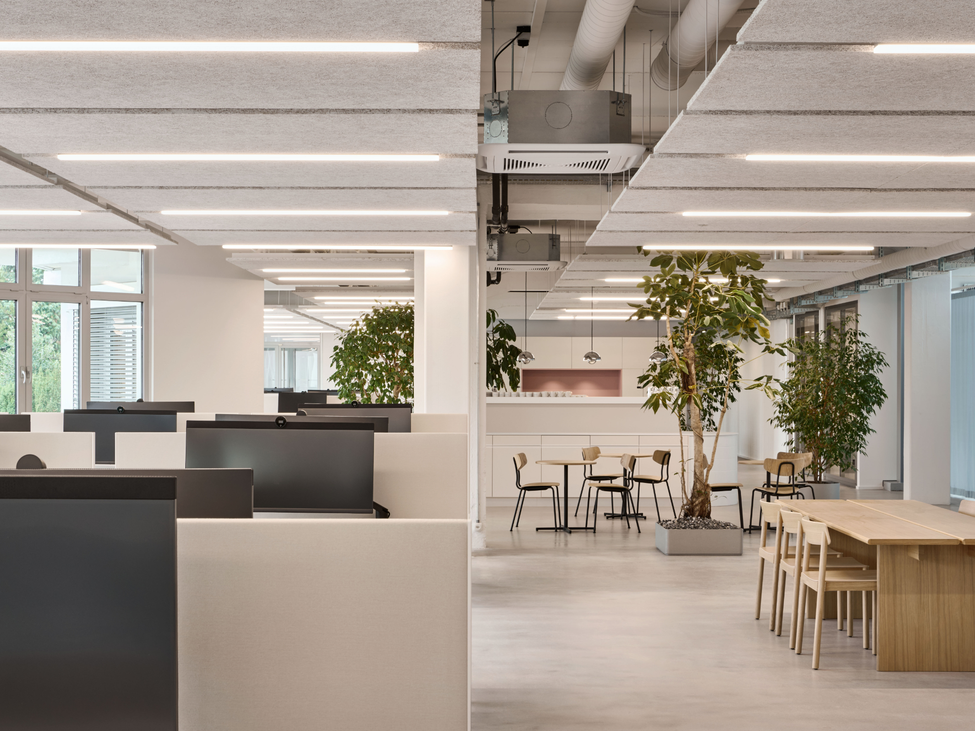 Innenausbau und Gesamtsanierung Novelis AG, Küsnacht Foto Studio Willen