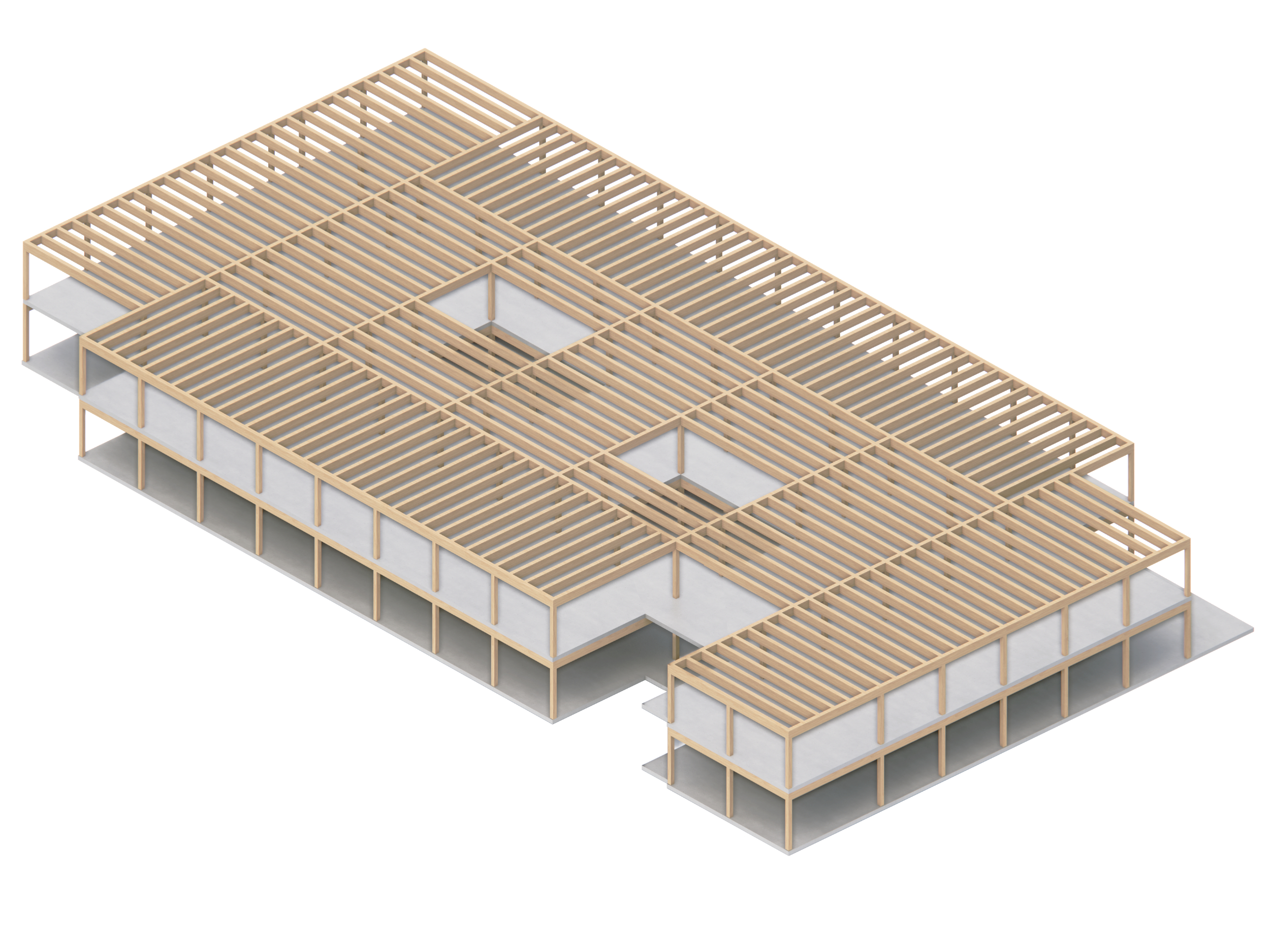 Erweiterung Schulanlage Burgerau, Rapperswil-Jona, Schnitt